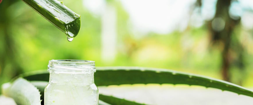 anti-aging properties of aloe vera gel